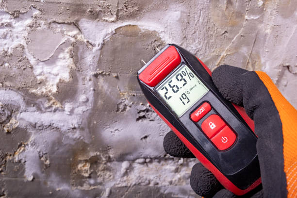 Best Industrial Mold Remediation in Sackets Harbor, NY