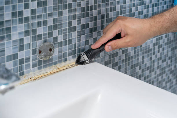 Best Kitchen Mold Remediation in Sackets Harbor, NY